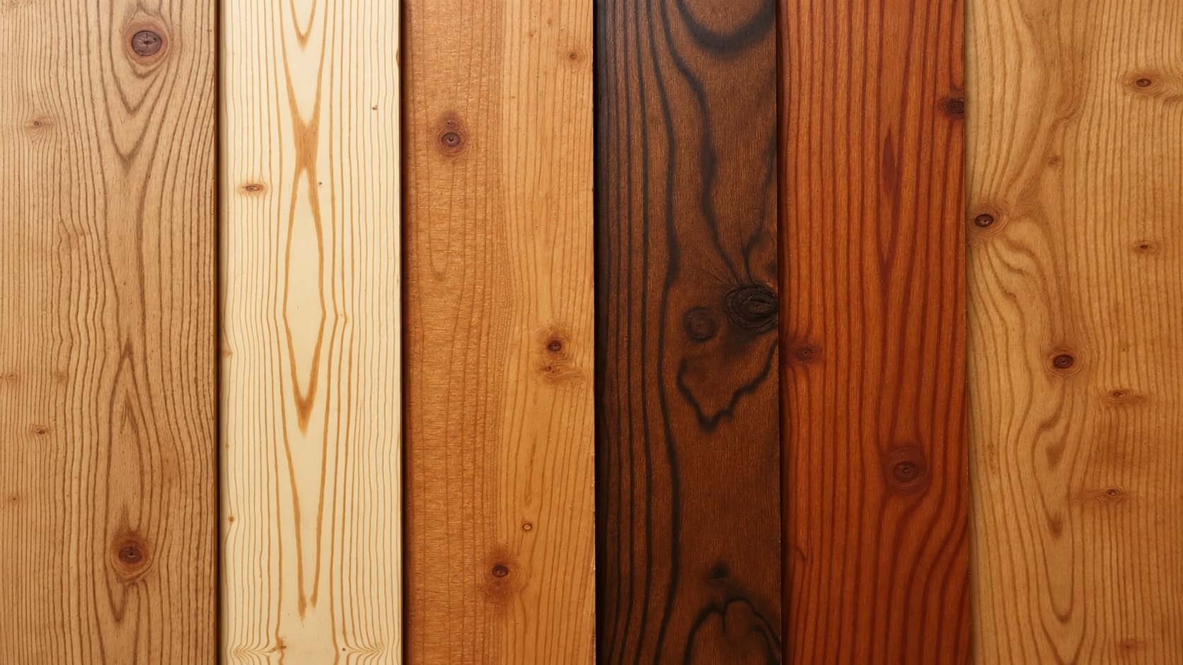 Matière : Bois